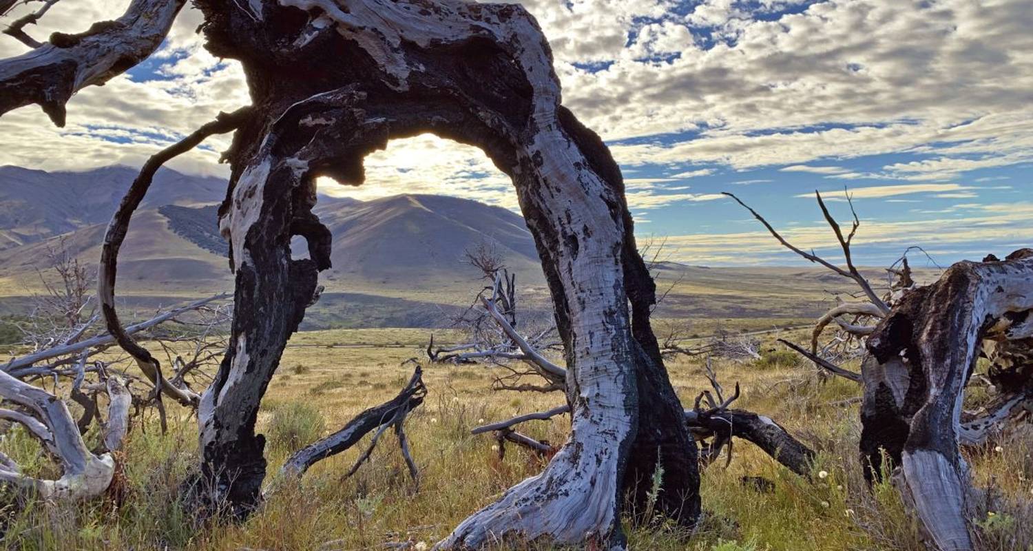 Circuits Chili de 4 semaines