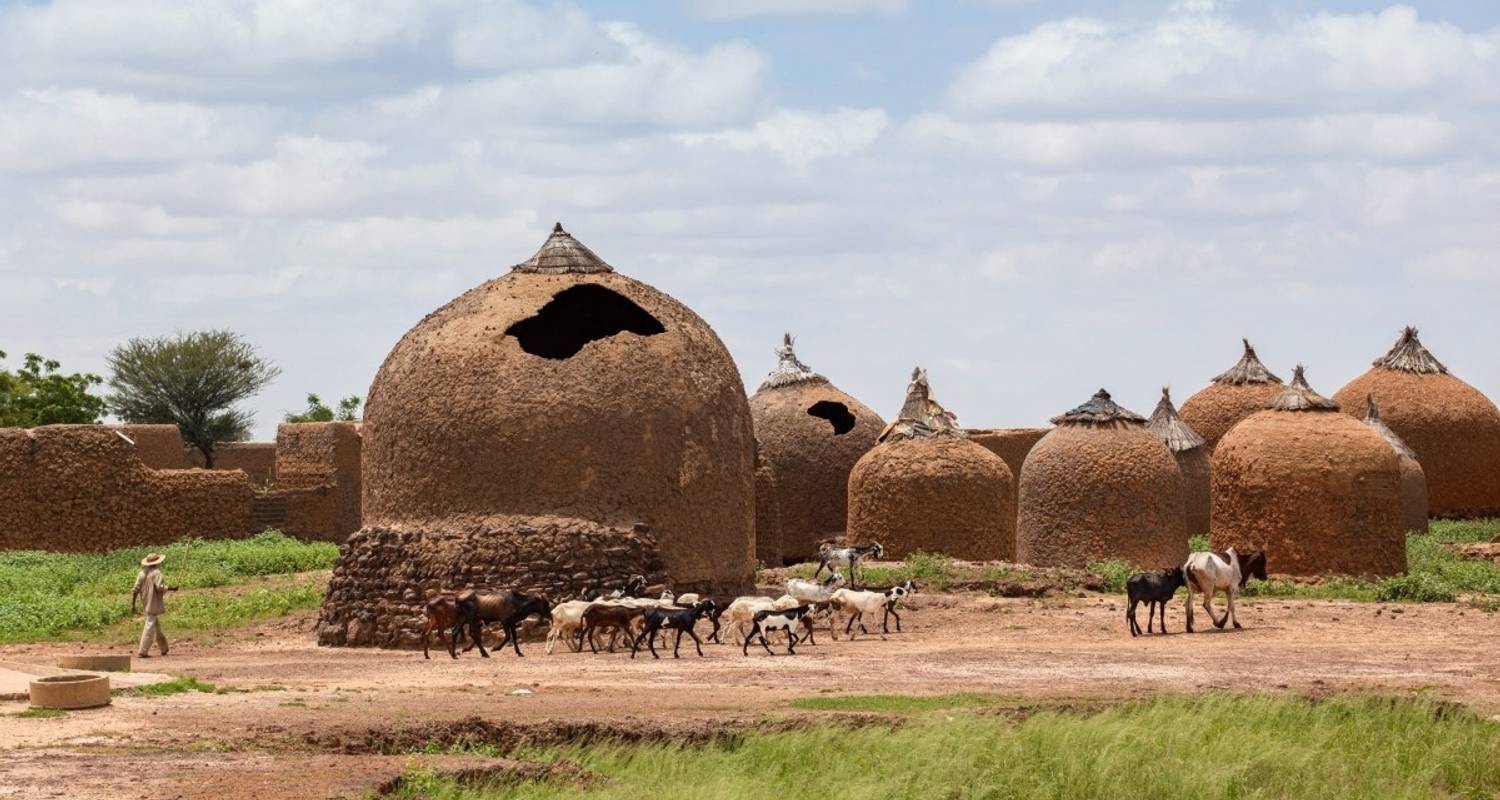 Au festival Guerewool de Wodaabe - DIAMIR Erlebnisreisen