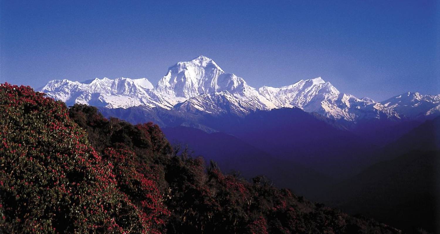 En el corazón del Himalaya - DIAMIR Erlebnisreisen