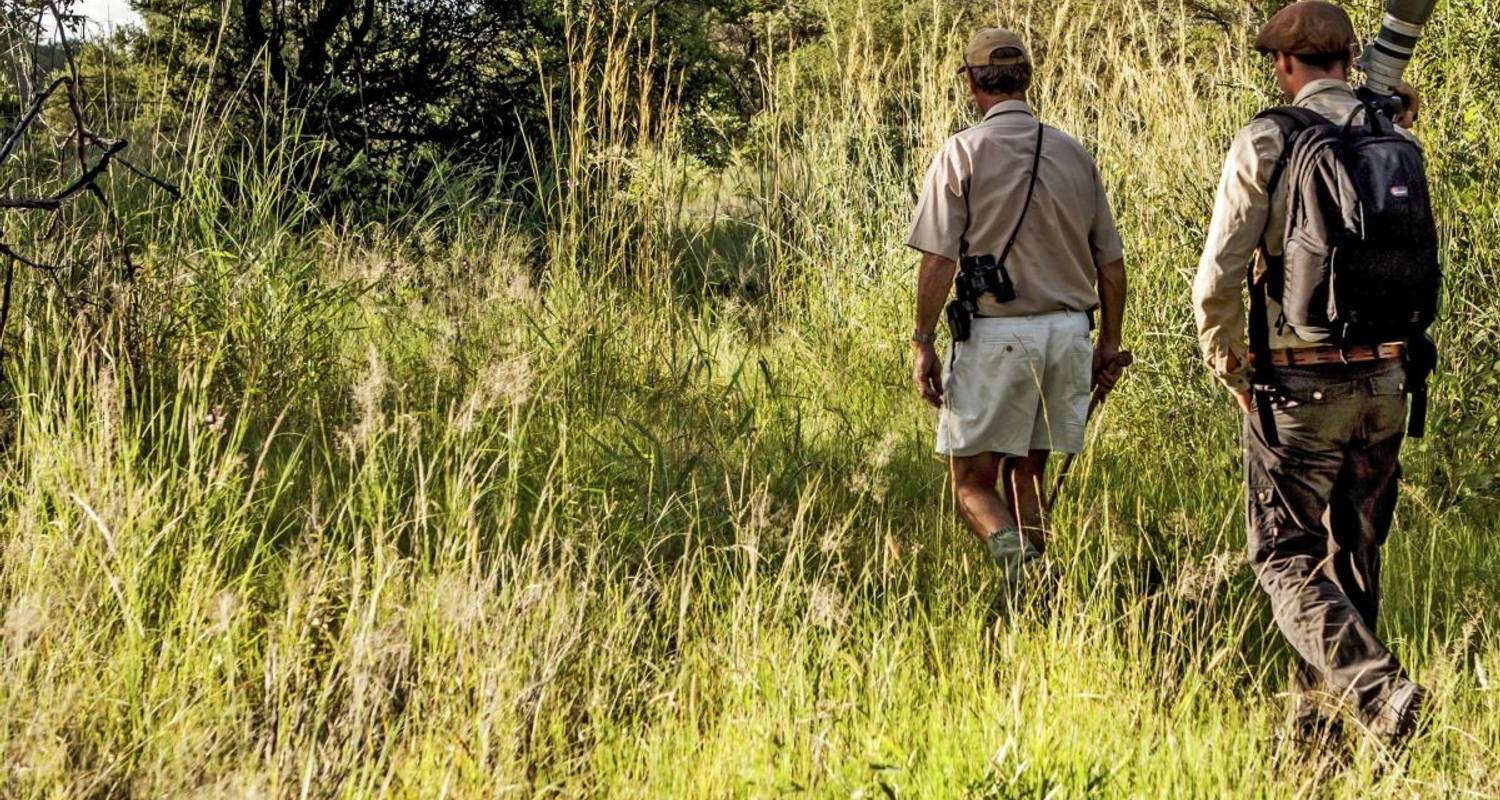 Groß-Simbabwe-Ruinen und Safariparadiese - DIAMIR Erlebnisreisen