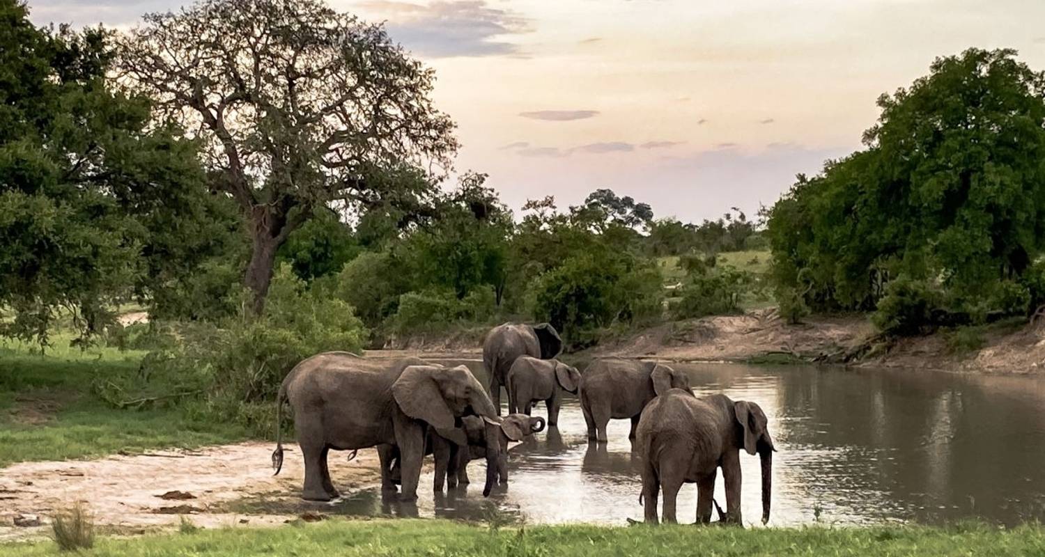 Mzansi: Gran Tour por la nación del arco iris - DIAMIR Erlebnisreisen