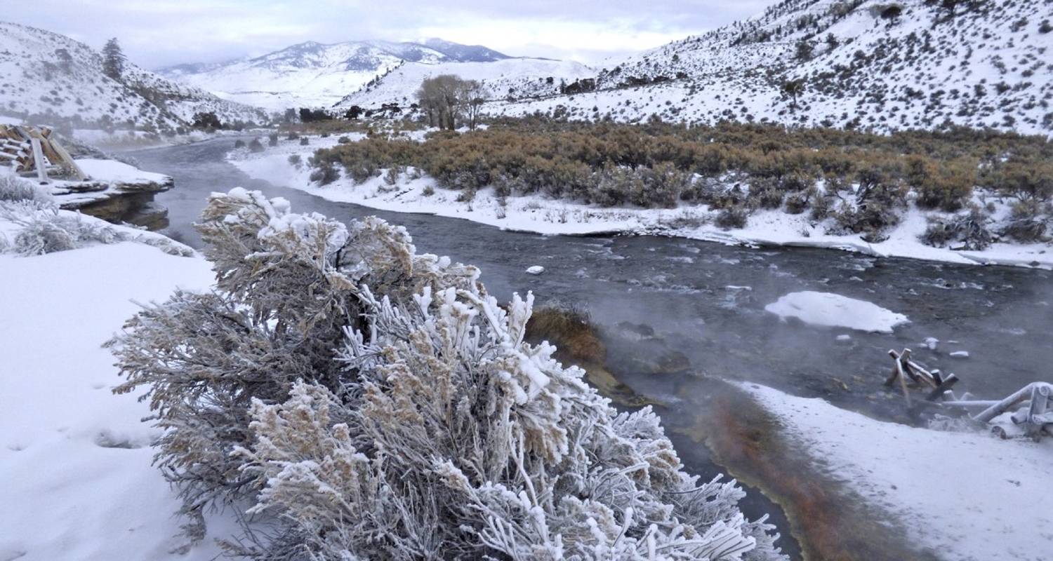 La magie de l'hiver dans le parc national de Yellowstone par