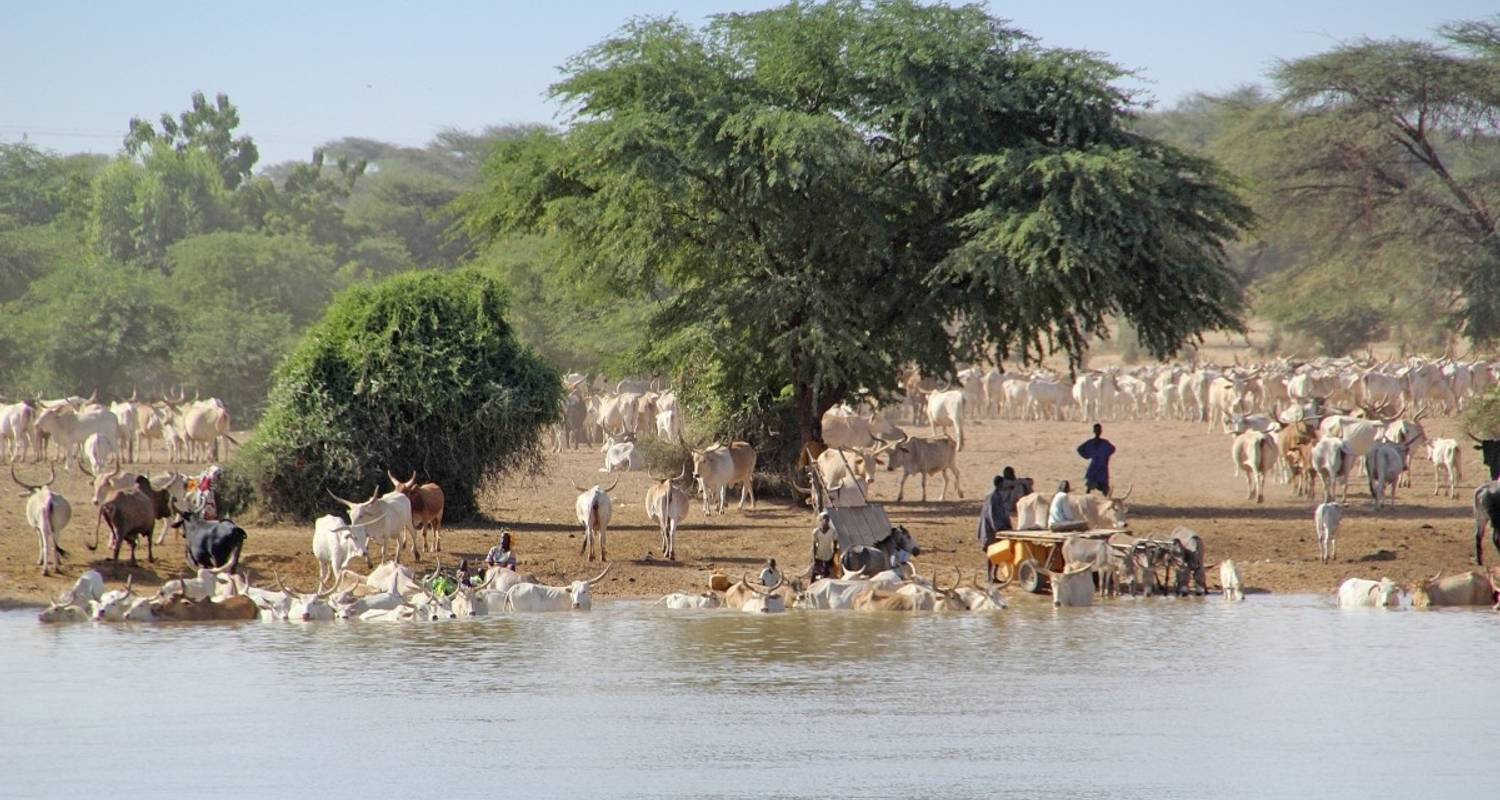 Senegal Small Group Tours