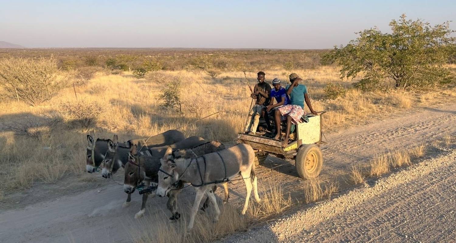 Namibia Rundreisen Kleingruppe