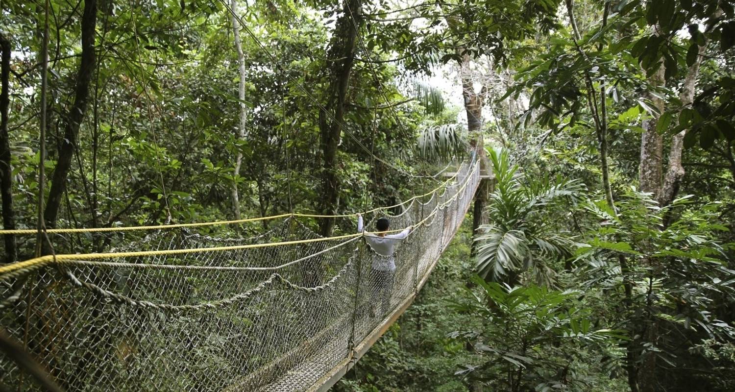 Circuits et voyages au Guyana