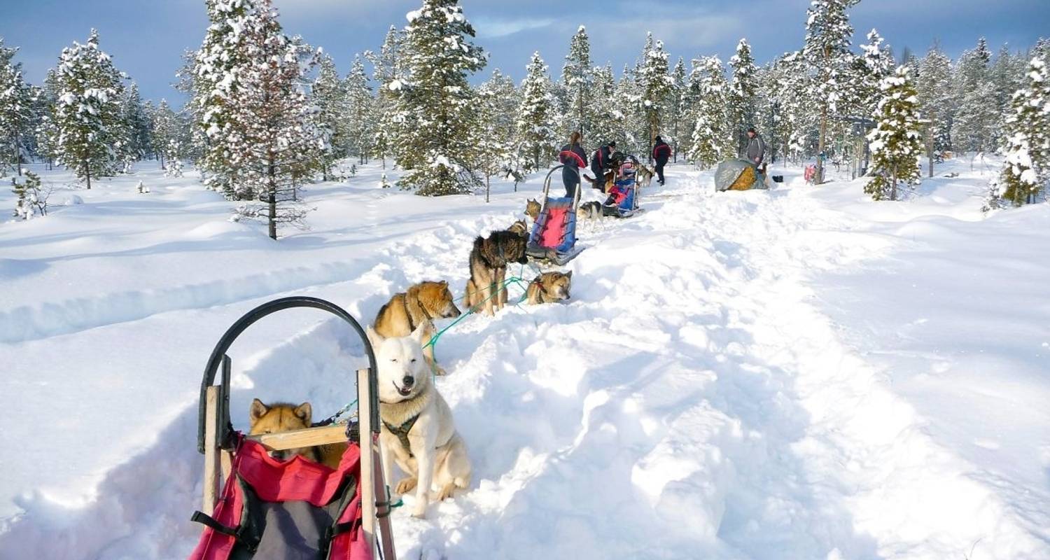 Schweden Arktis Reise Rundreisen