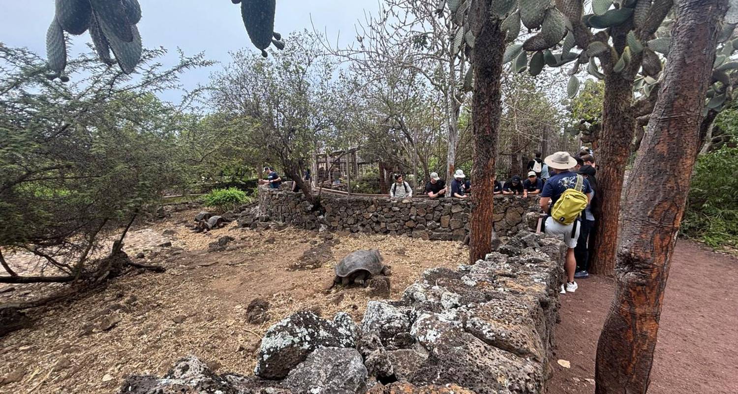 10 Days Galapagos Island Hopping | Daily Small-Group Tours