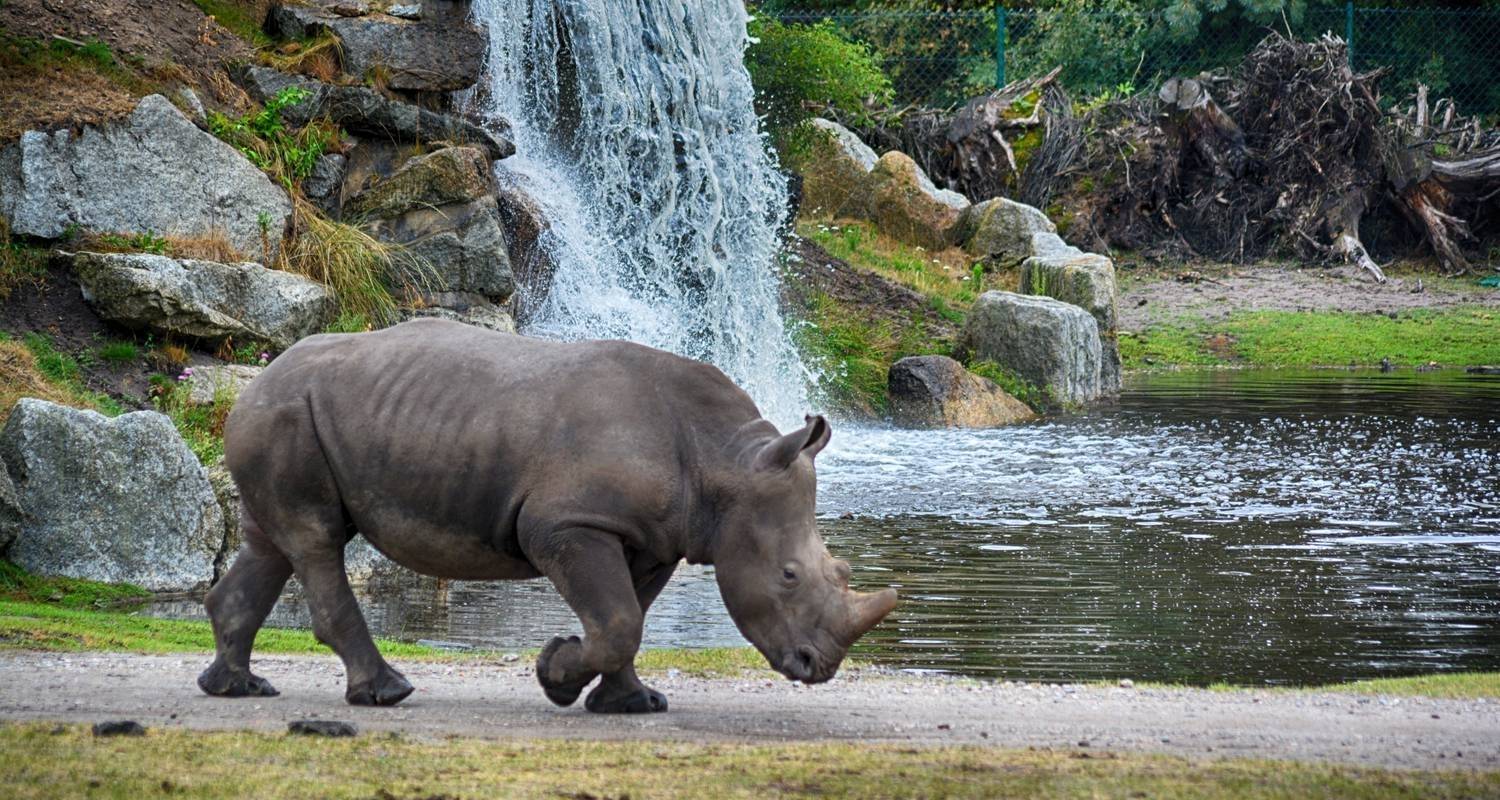 2 DAY NORTHERN TANZANIA SAFARI EXTENSION - Almighty Kilimanjaro