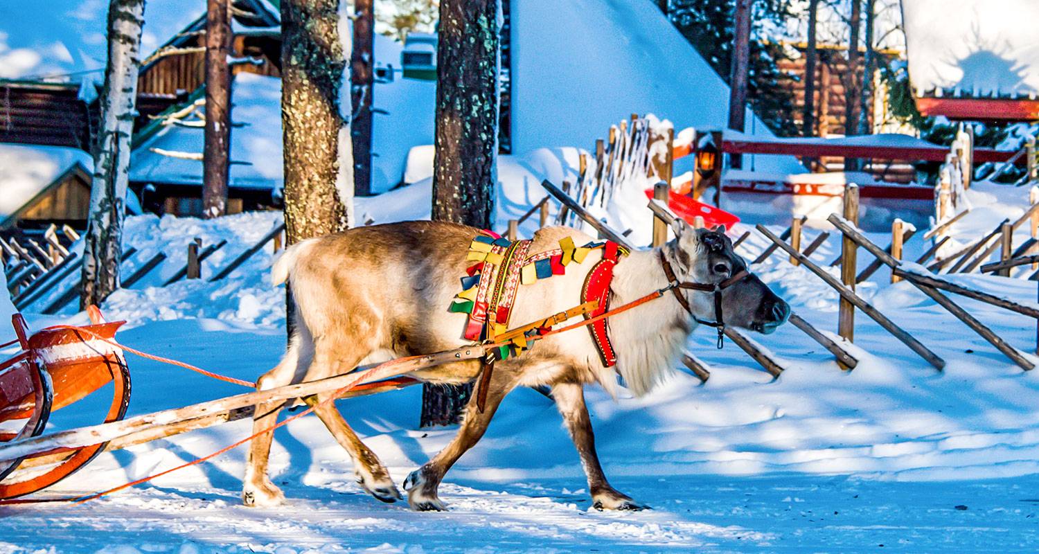 Tailor-Made Finland Adventure to Lapland