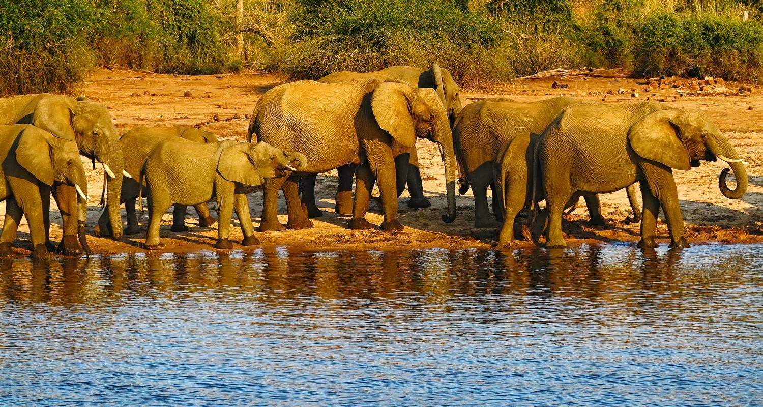 Botswana et Zimbabwe à découvert - 13 jours - On The Go Tours