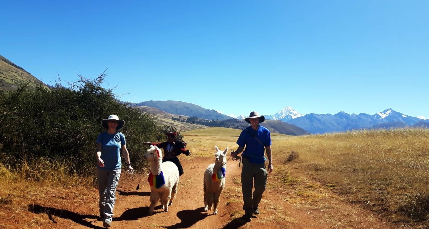 Lama-Wanderung Heiliges Tal Machupicchu mit Glamping Sky Lodge Dome in Cusco - 3 Tage - QUECHUAS EXPEDITIONS PERU