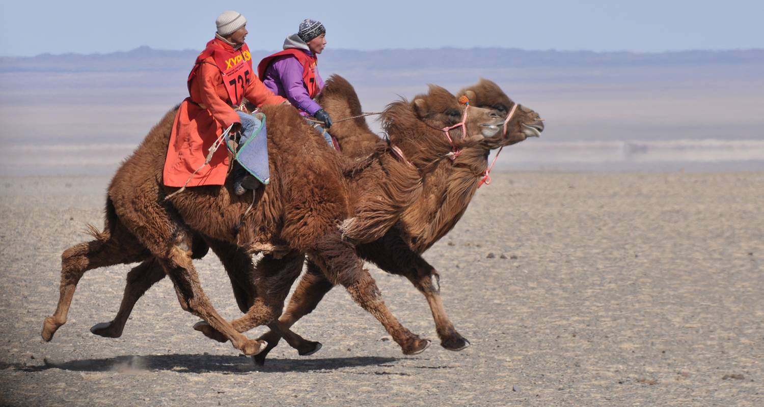 Camel Festival in the Great Gobi - Tour Mongolia