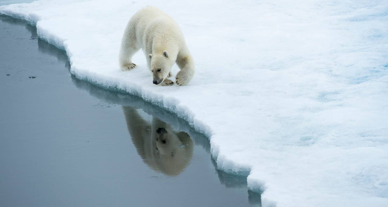 West Svalbard