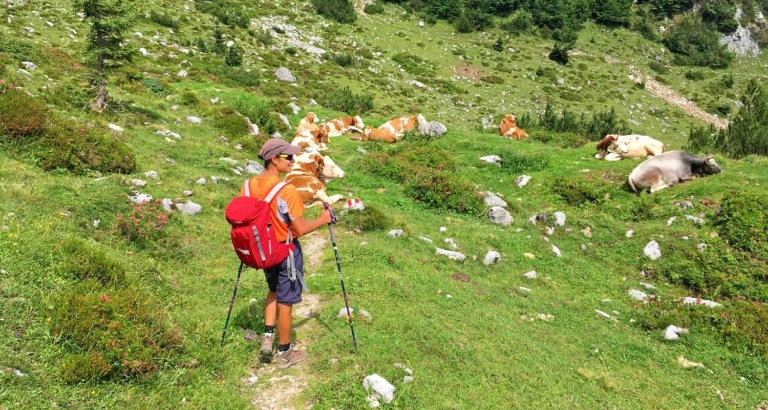 Hiking & Trekking Tours & Trips in Austria