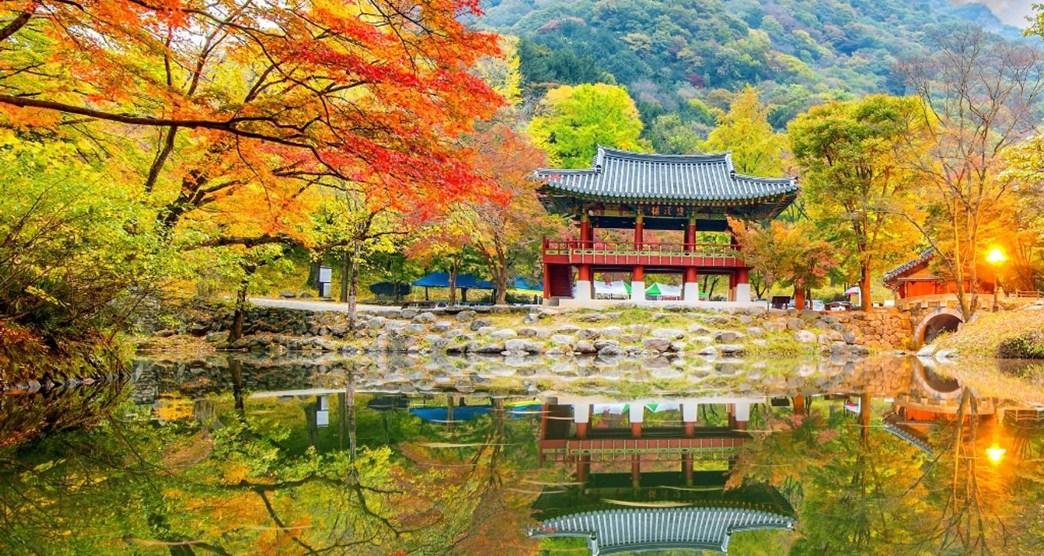 6 Days of Culinary Culture & Korean Heritage - Private Tour (Seoul/Jeonju/Gwangju/Suncheon)