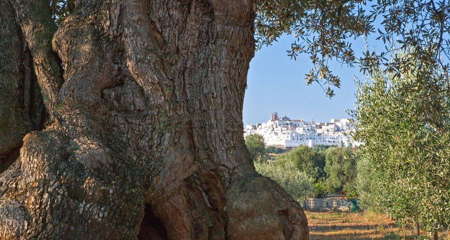 The Best of Apulia, Private Tour from Bari