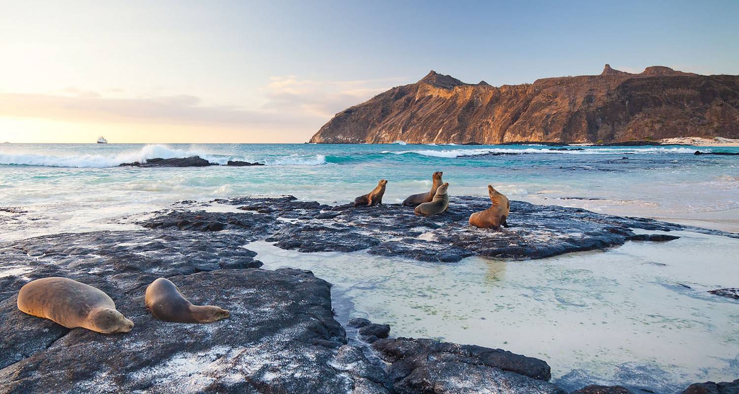 Circuits Équateur au départ de Île de San Cristóbal