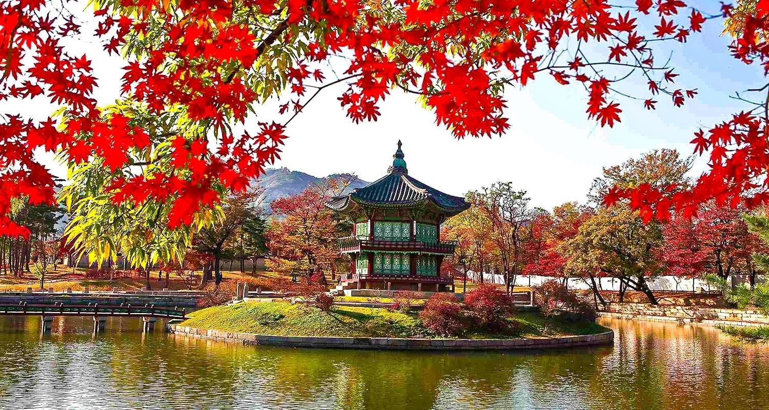 South Korea Guided Tours & Trips