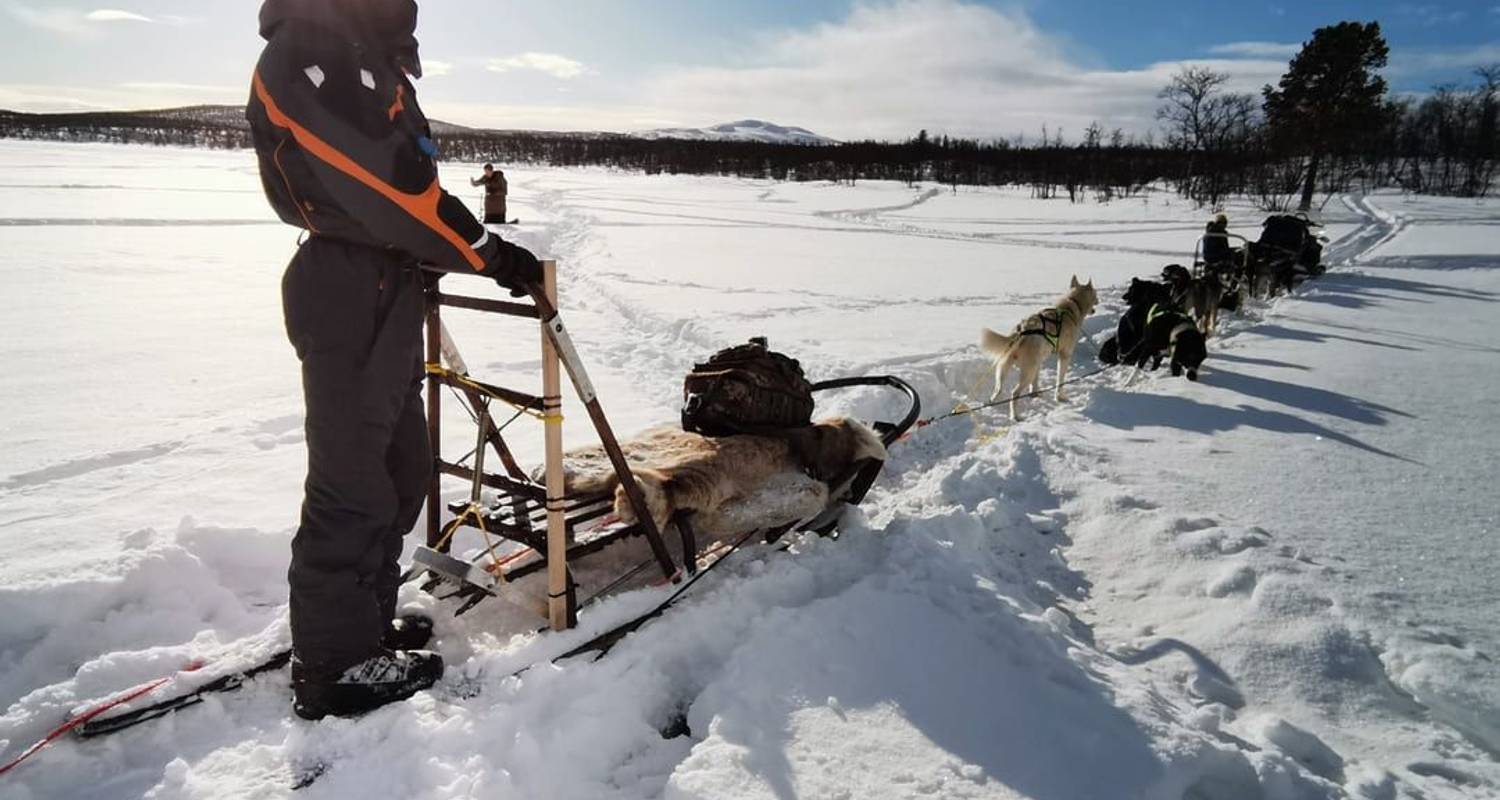 Hunting for the Northern Lights