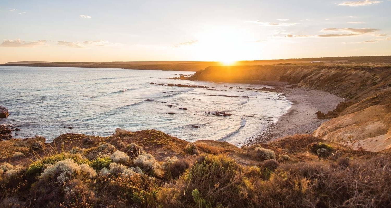 Uncover The Eyre Peninsula Port Lincoln → Adelaide (2024) - APT