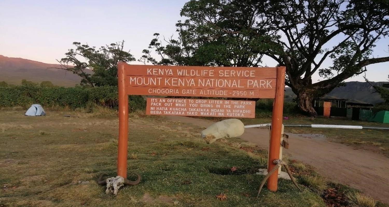 Kerstmis & Nieuwjaar Rondreizen in Mount Kenya