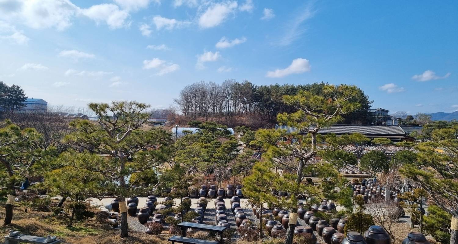 Discover Western Korea in 4days: A Wellness Holiday