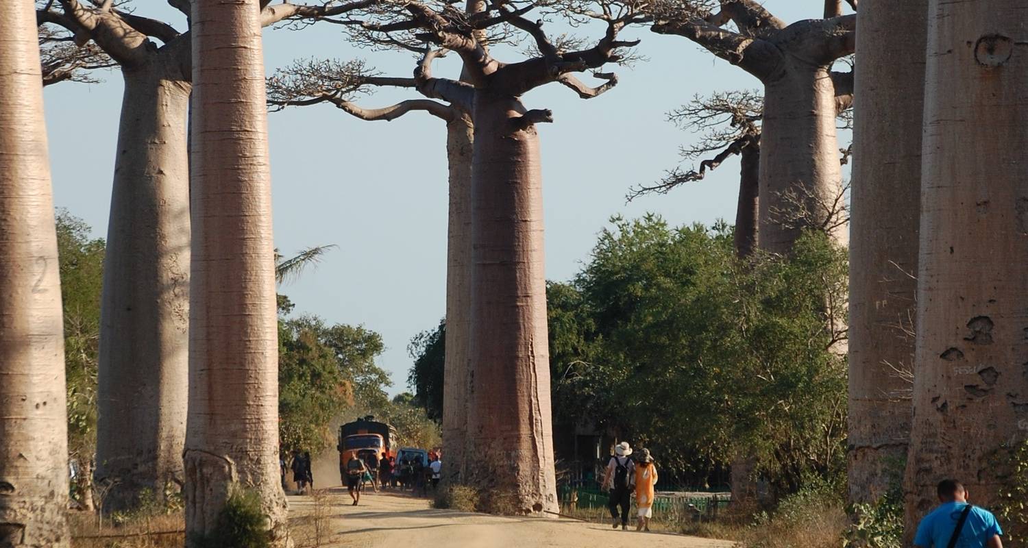 Madagaskar: Mangoky Fluss, Regenwald & Der Westen - 18Tage - Across Africa Tours & Travel