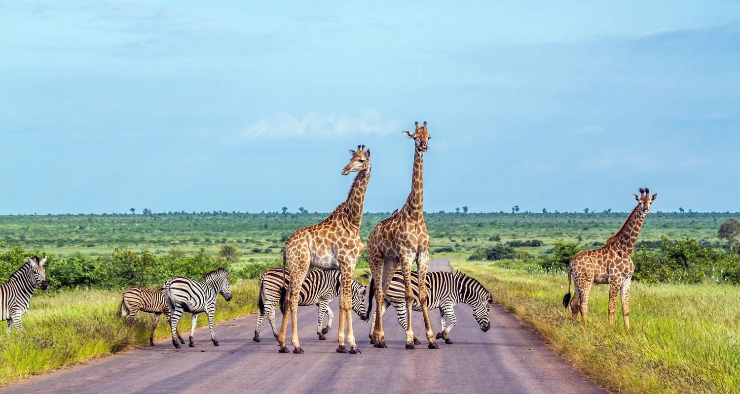 Cinco grandes Viajes desde Pretoria