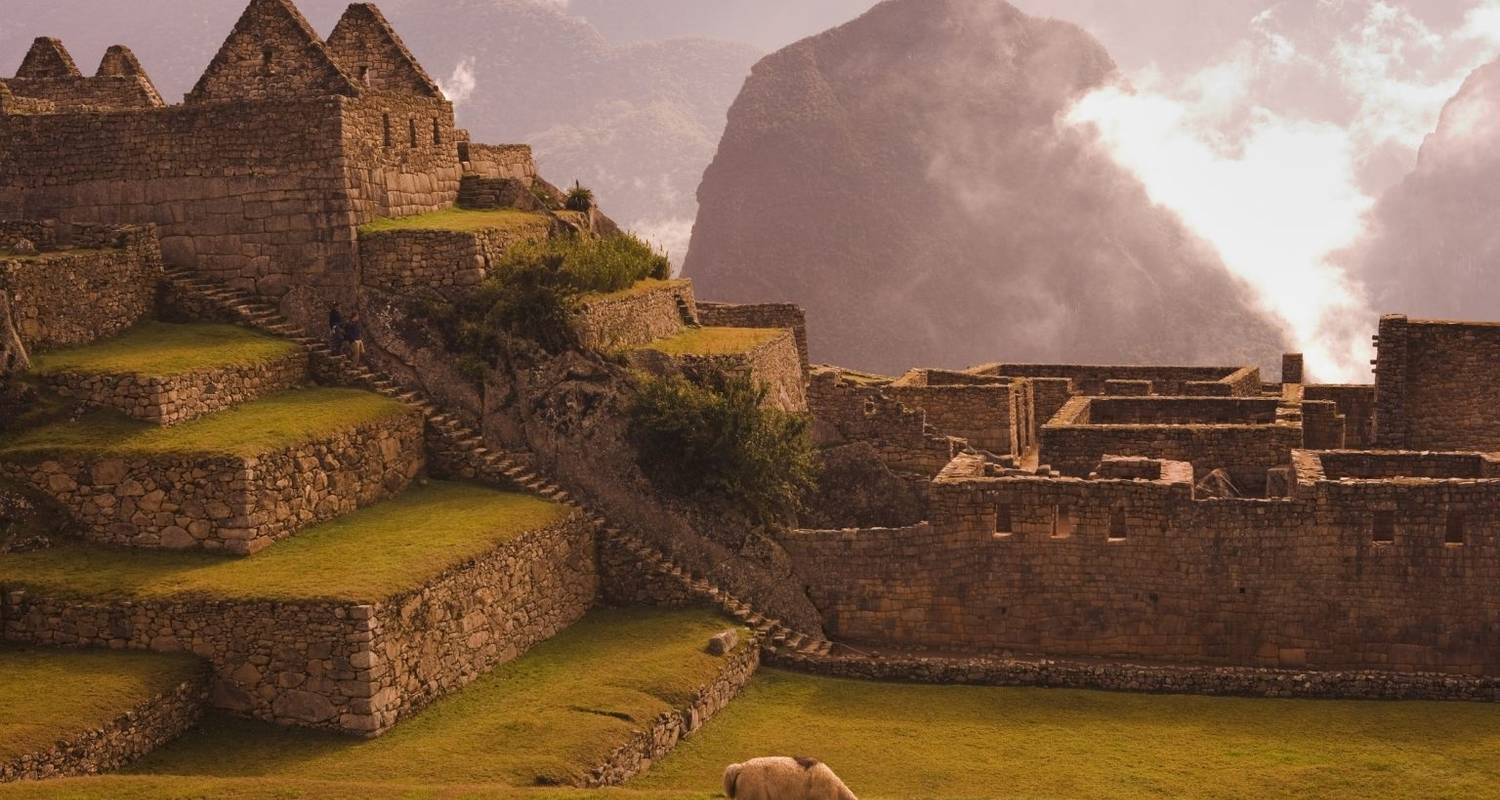 2 Días Camino Inca a Machu Picchu 2024 - Andean Path Travel