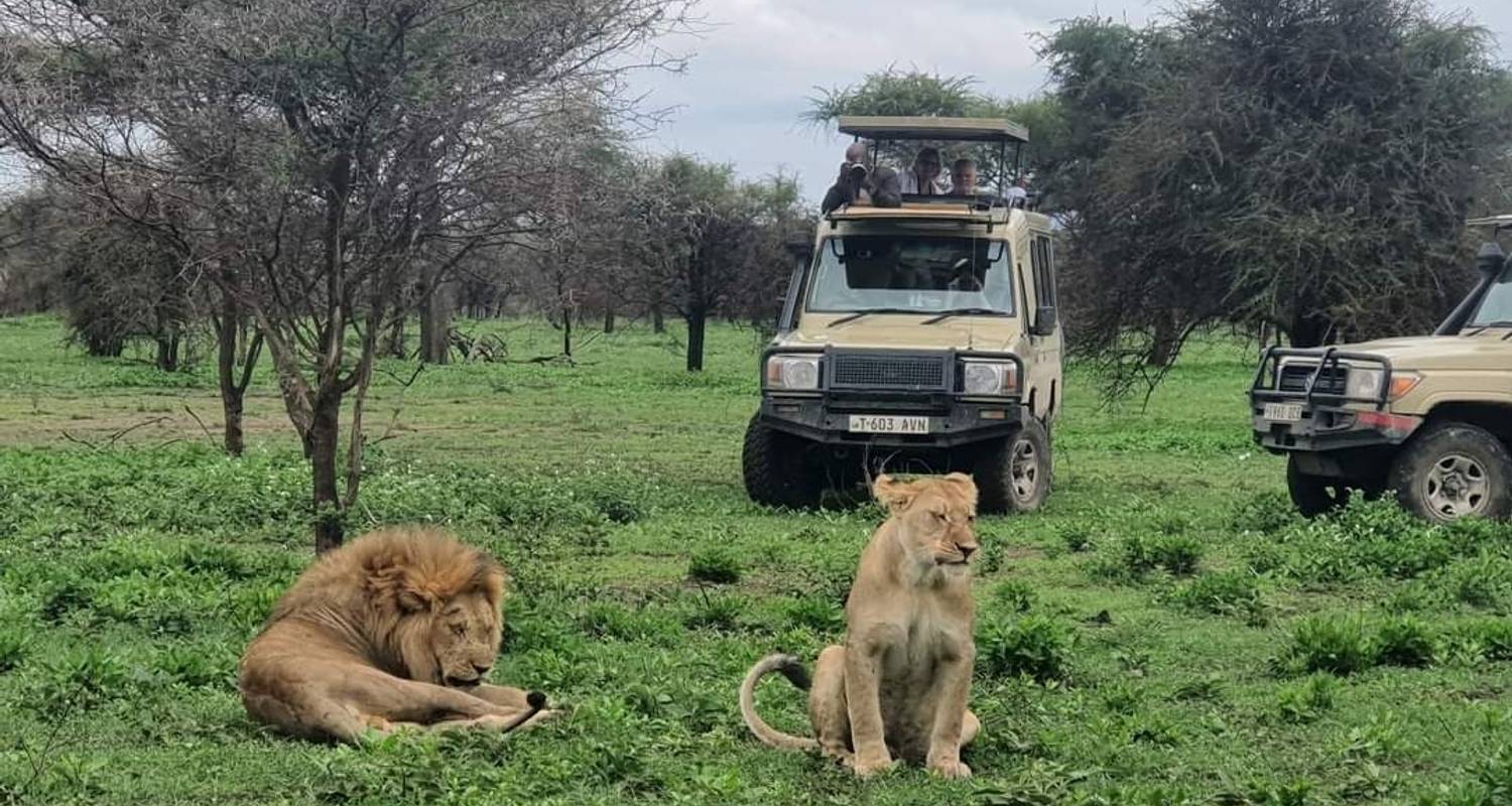 3 Days - Arusha NP, Tarangire & Manyara - Lappet Faced Safaris