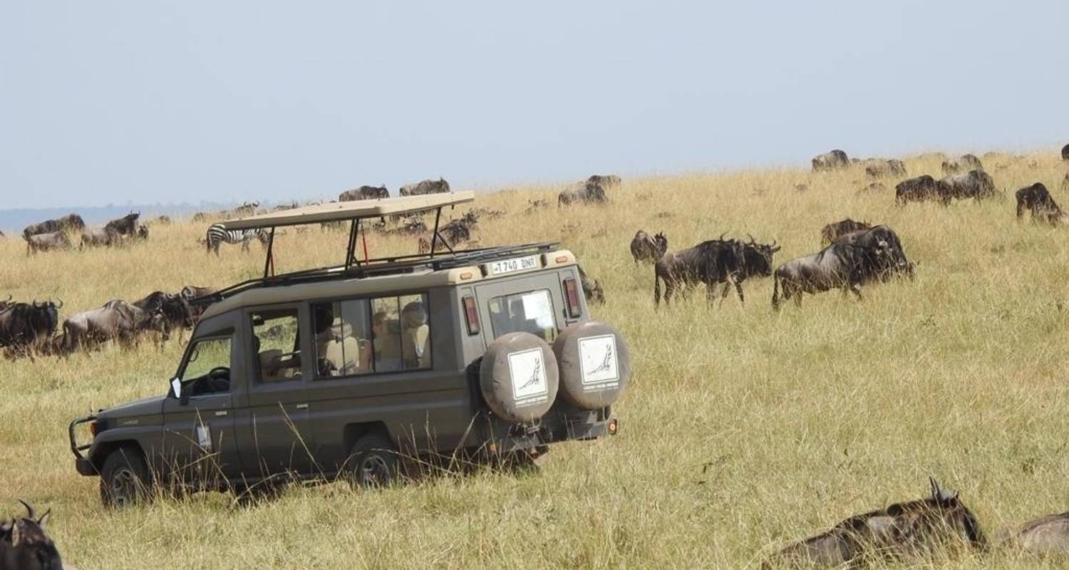 9 jours - Migration du Serengeti Nord - Lac Manyara, Serengeti, cratère du Ngorongoro et Tarangire - Lappet Faced Safaris