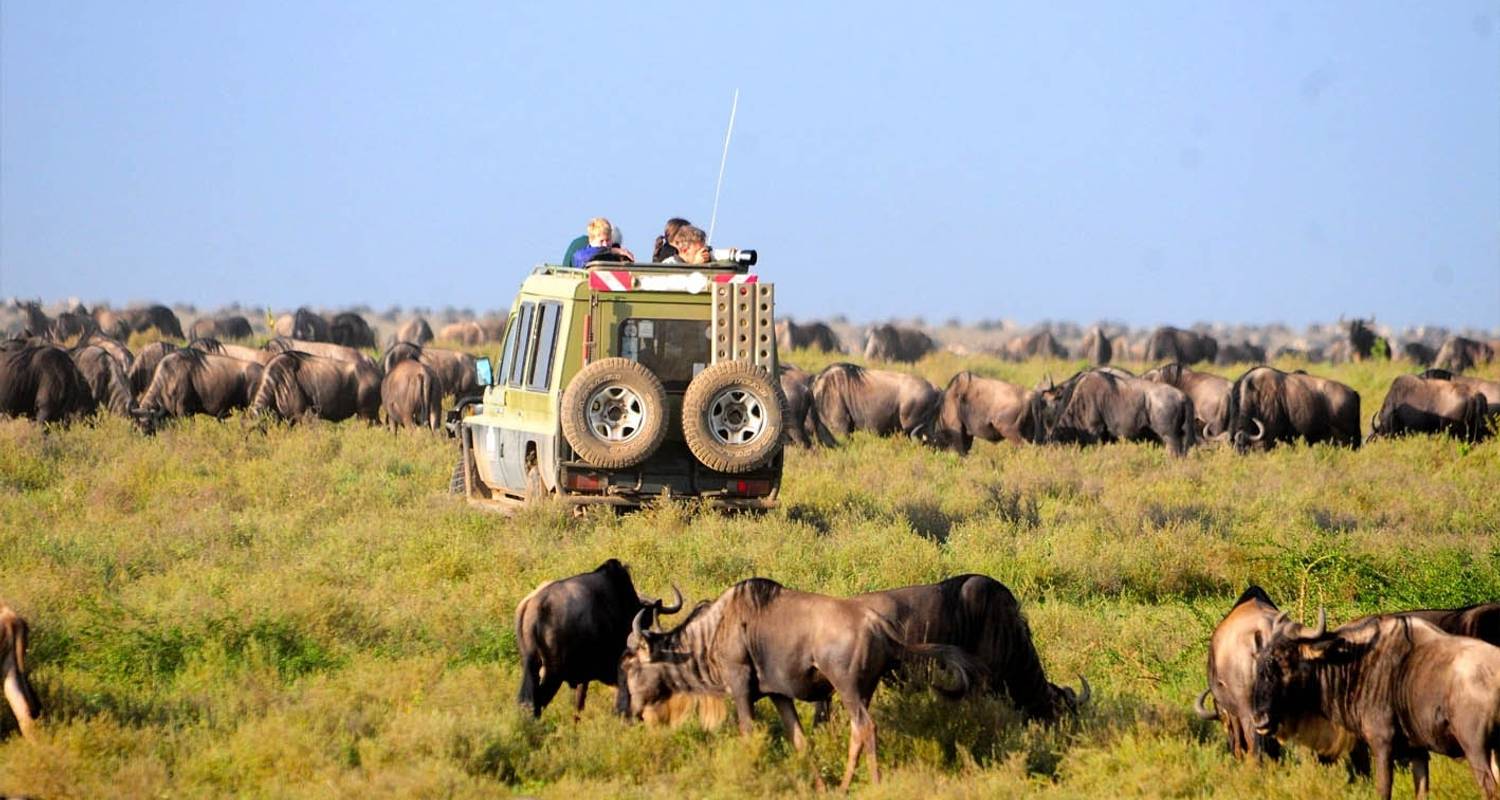 Tansania: Lake Manyara, Serengeti & Ngorongoro Krater ab Arusha Budget Camping Safari - 5 Tage - Gracepatt Ecotours Kenya