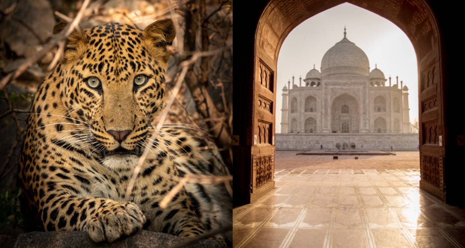 5 Day Golden Triangle Tour with Leopard Safari - Taj Mahal Sunrise/Sunset - Wonderful Holidays