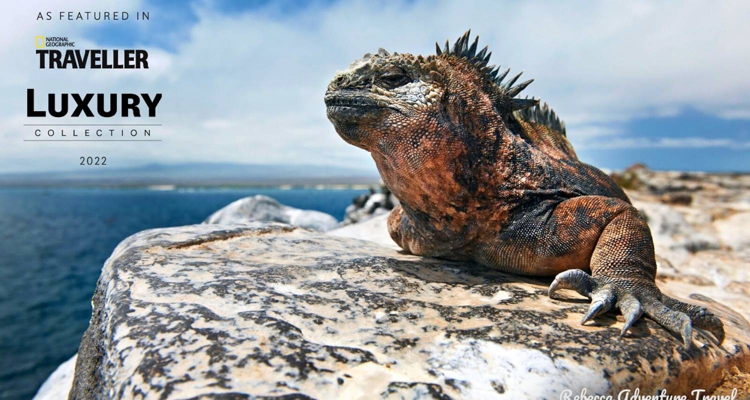 Galapagos luxuriöse Safari - 7 Tage - Rebecca Adventure Travel