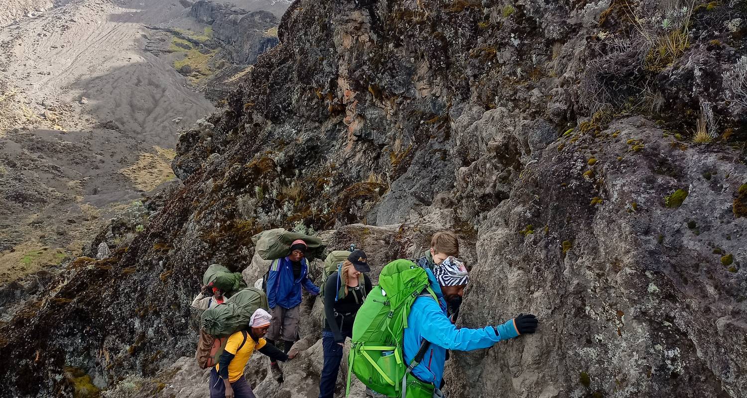 Une expérience unique Lemosho 8 jours - Mountain Warriors Tour and Safaris