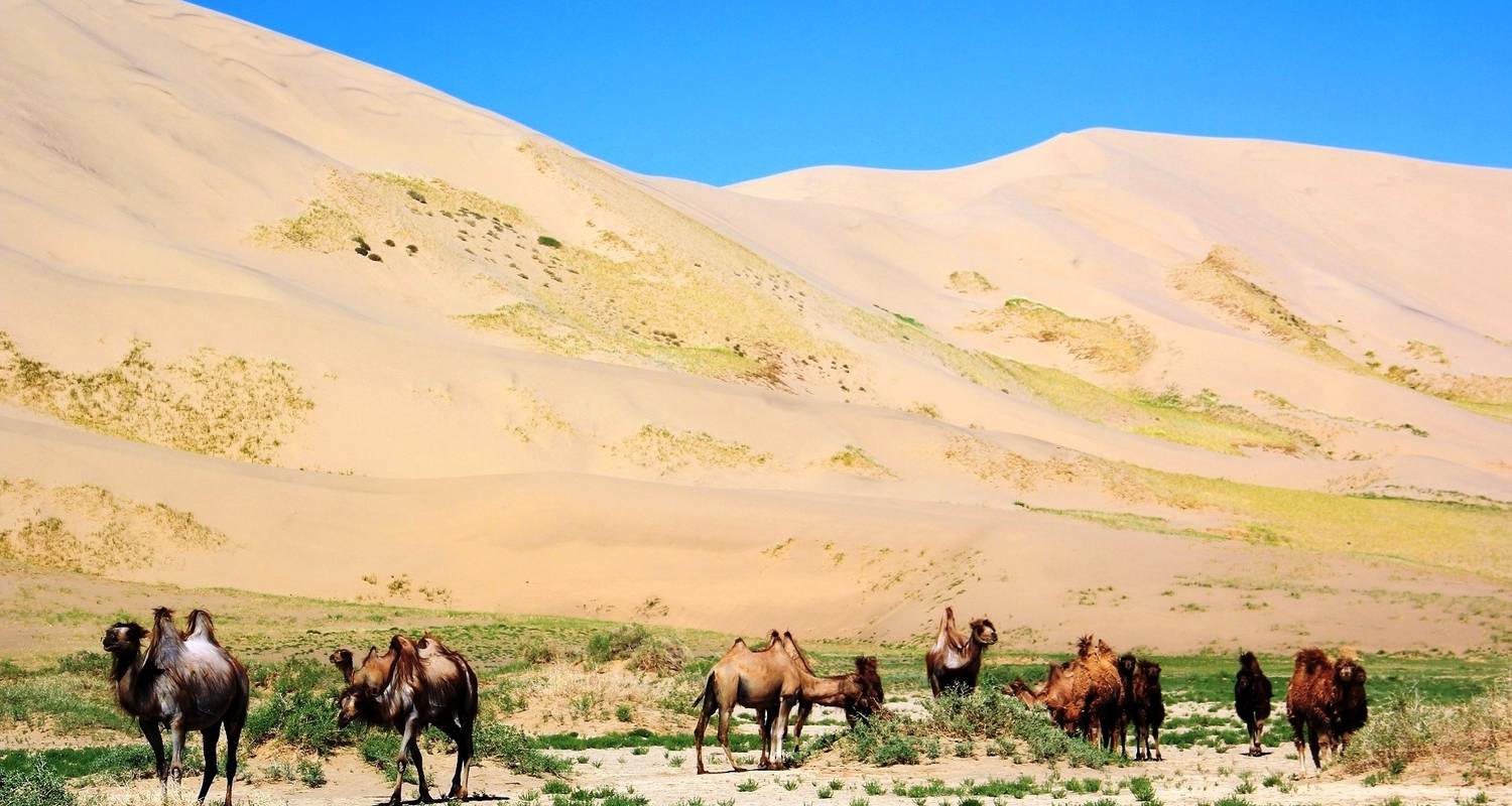 Excursión por el gran desierto de Gobi - Bumantour LLC