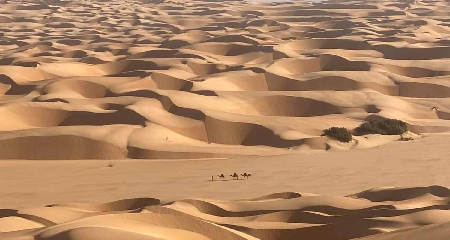 Circuit de 10 jours en Mauritanie - Tour in Mauritania mauritrip 