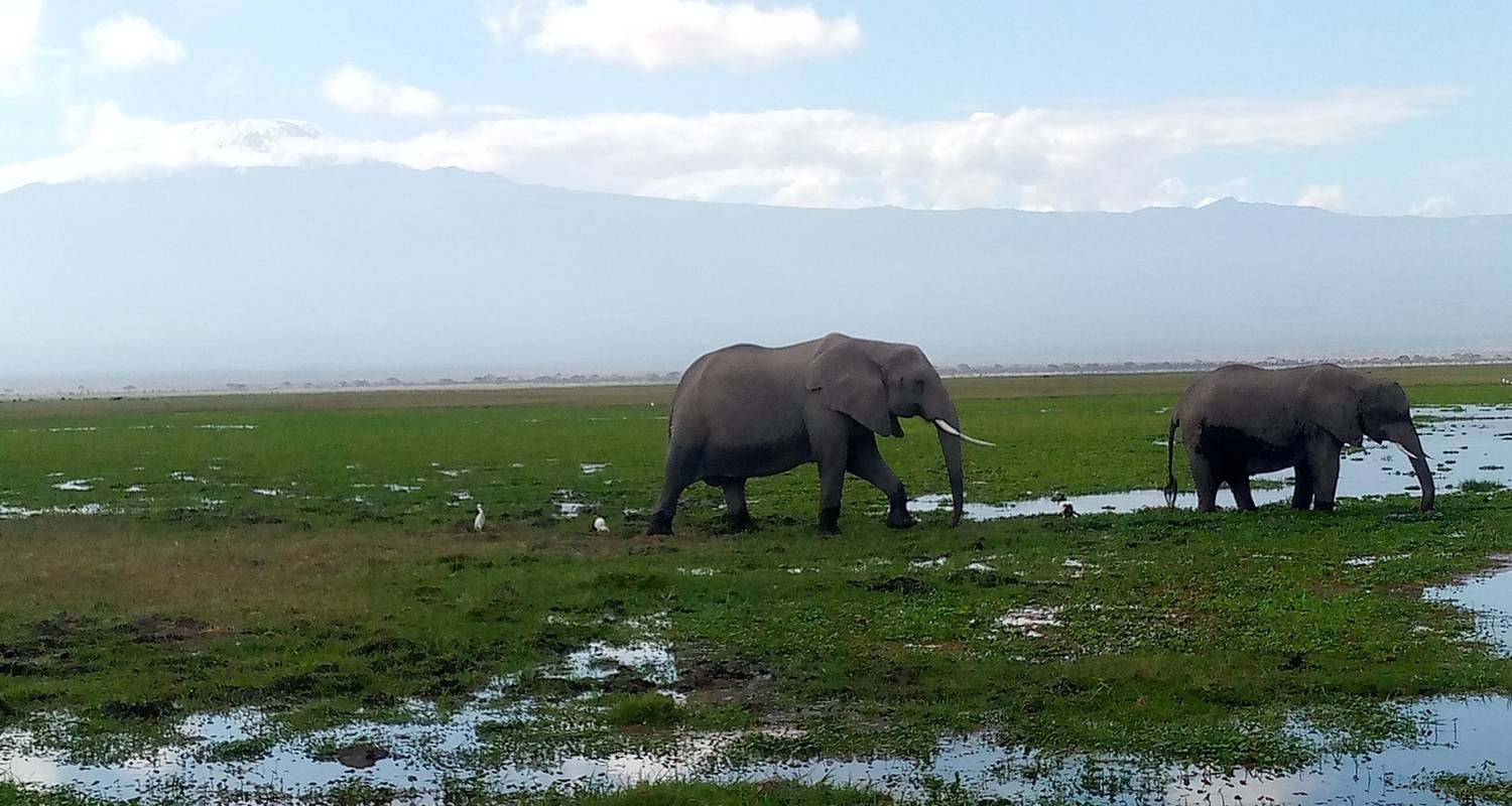 Amboseli Entdeckerreisen