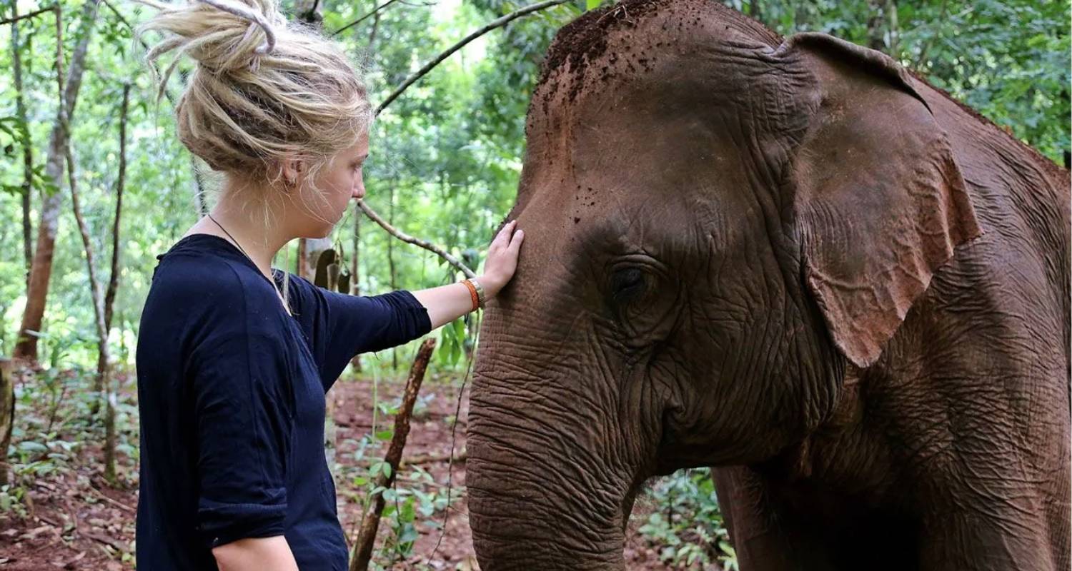 Cambodja – Ga buiten de gebaande paden - Siem Reaper Travel