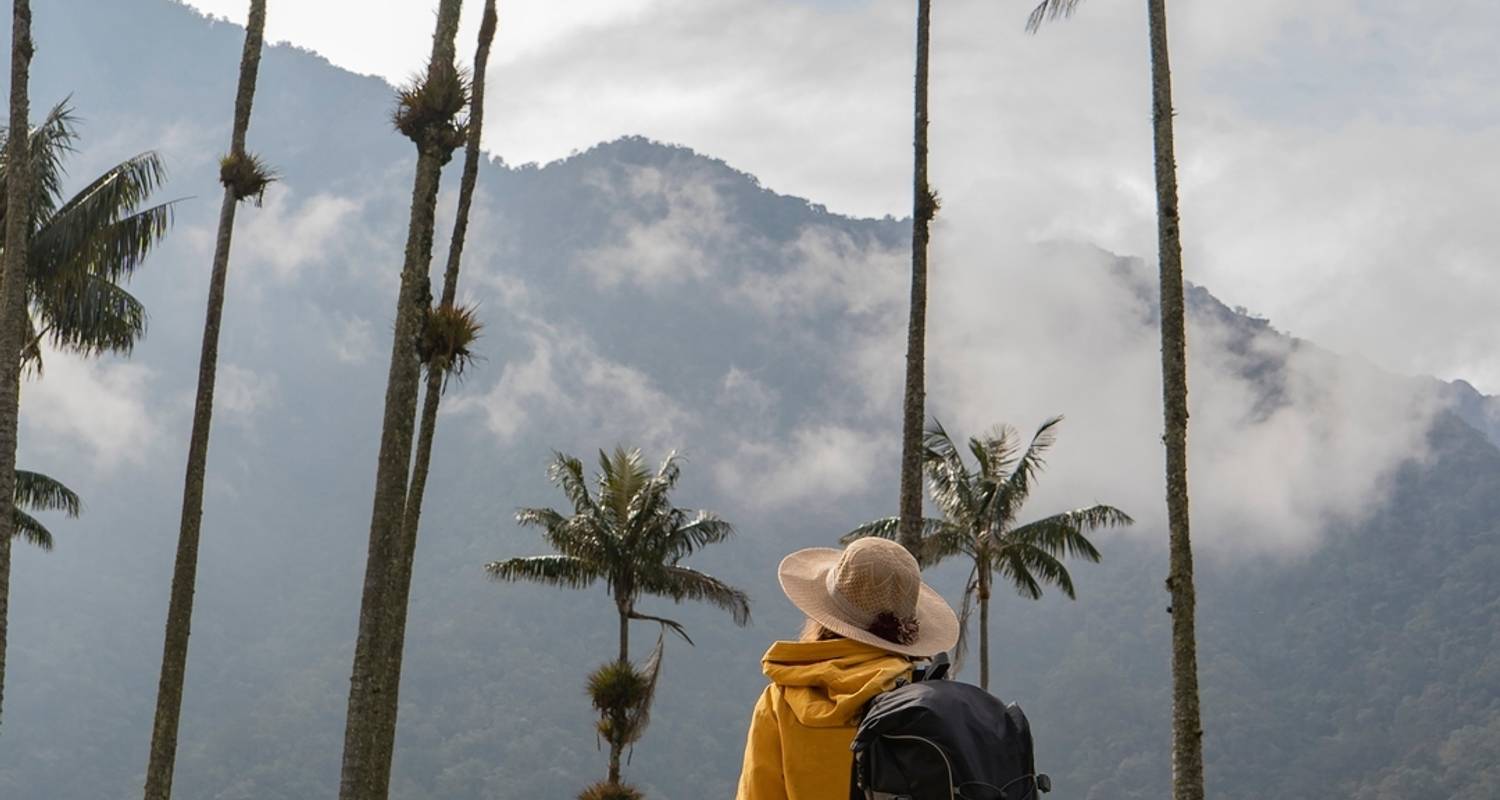 Les 3 axes de diversité de la Colombie : Bogota, région du café et Carthagène - Gran Colombia Tours