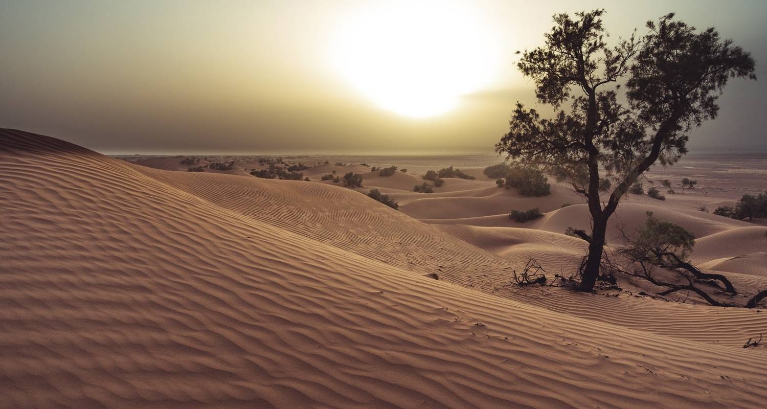 Aventure hivernale dans le sud du Maroc - 10 jours - Trek Desert Maroc 