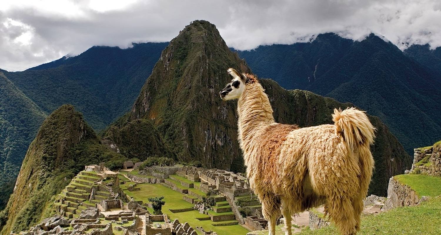 Peru met Machu Picchu (Kleine groepen, Nazcalijnen, 13 dagen, Intra Rondreis door Lucht Lima naar Cusco) - Insight Vacations