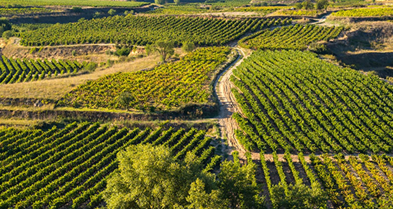 Lo más destacado del norte de España - Back-Roads Touring