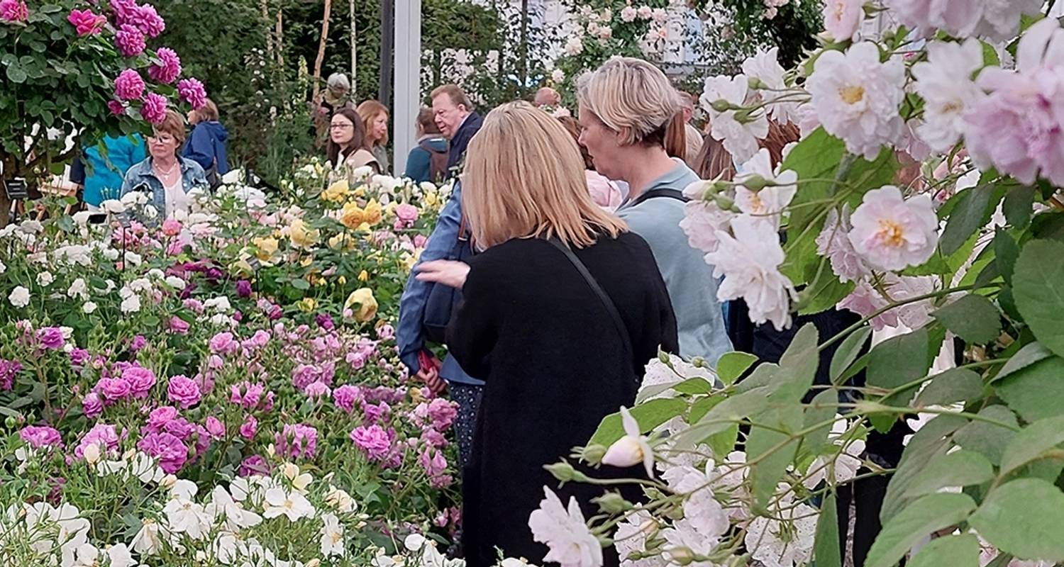 Chelsea Flower Show (Eastbound) 2025 - Back-Roads Touring