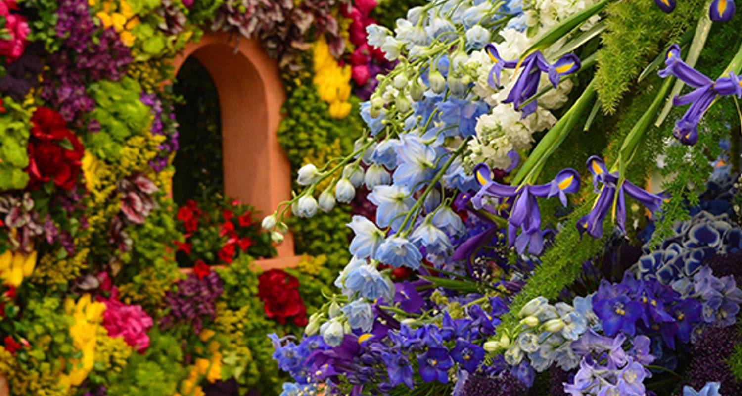 Chelsea Flower Show (Este) 2026 - Back-Roads Touring