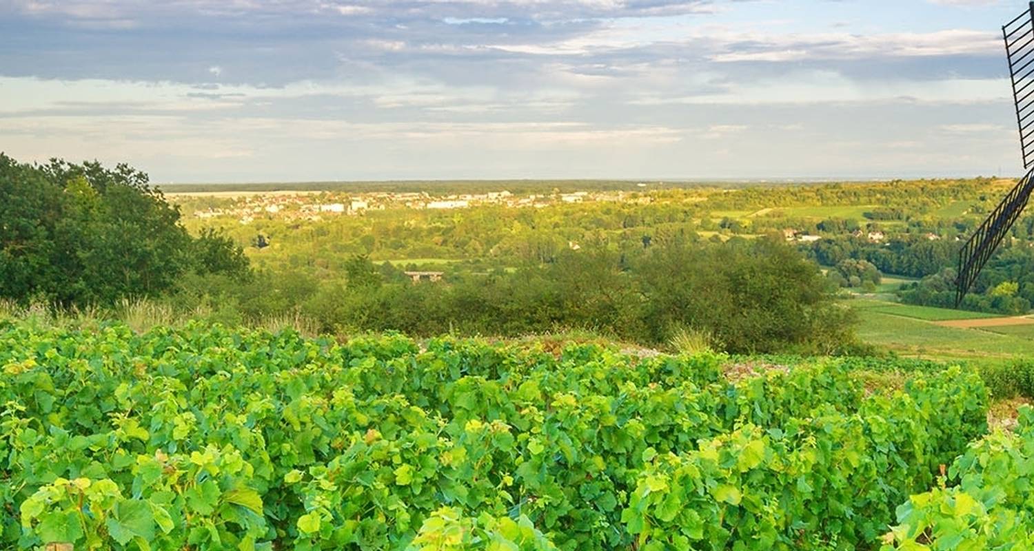 De Paris à Nice par les vignobles et les montagnes - Blue-Roads Touring