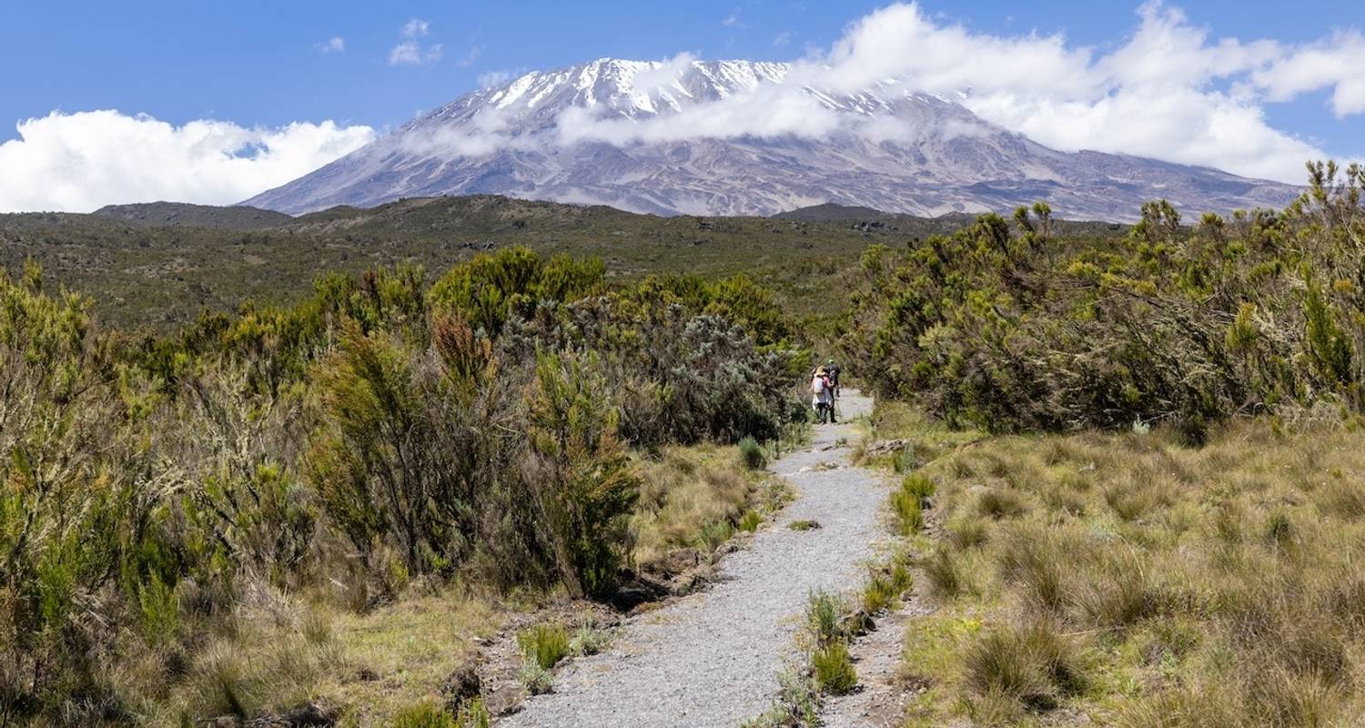 Hiking near Machame Camp