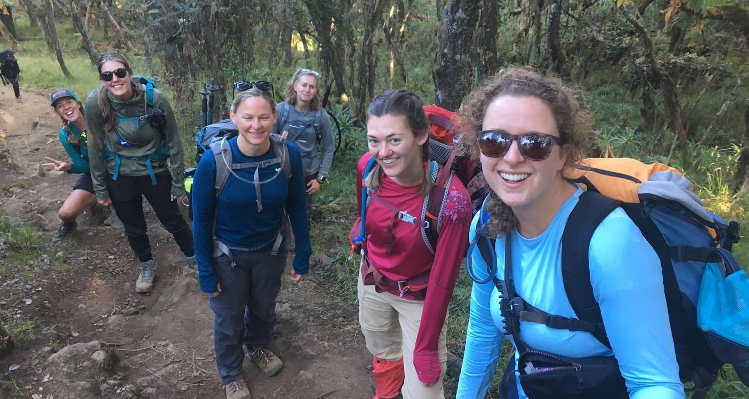 Mount Kilimanjaro Tours from Mti Mkubwa Camp