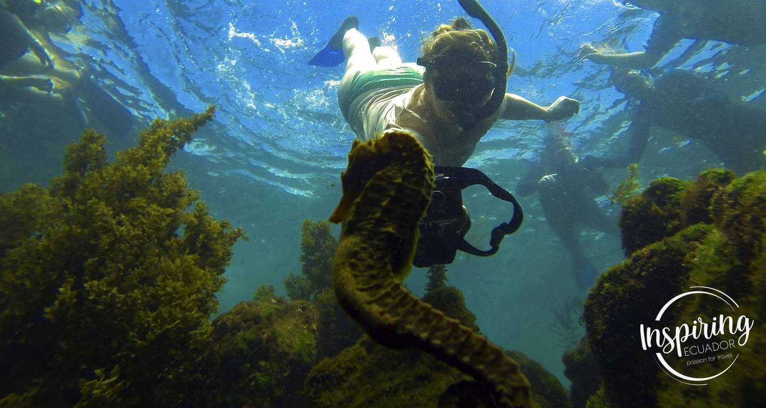 Expédition active de 5 jours aux Galapagos
 - Inspiring Ecuador