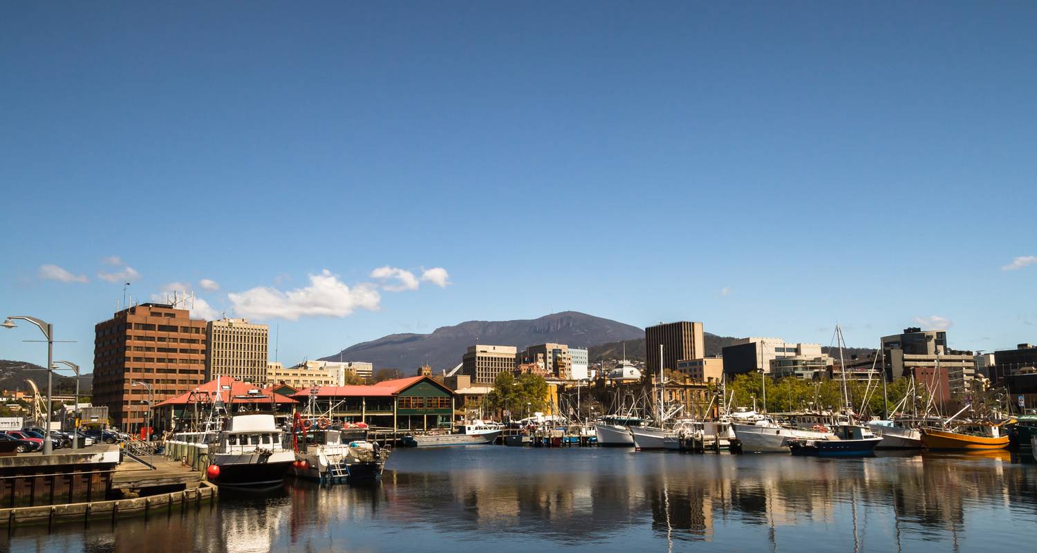 Tres Cabos y tukana / excursión a pie por la península de Tasmania - Park Trek Walking Holidays